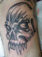 /album/galerie-photos/a2346539831-small-1-1-jpg/